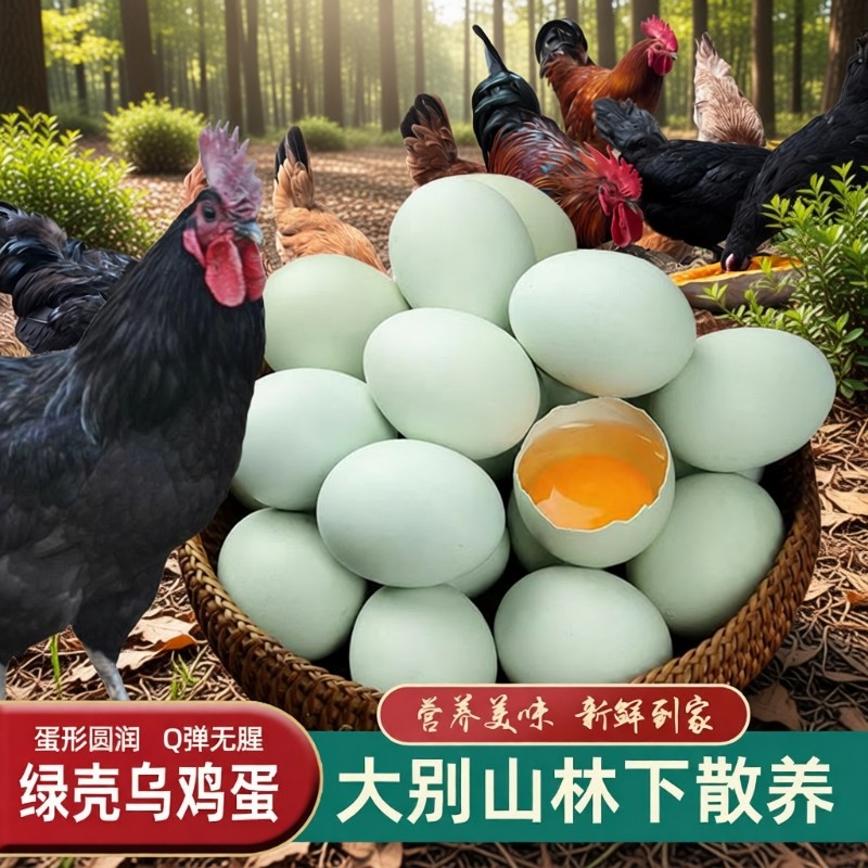 绿壳乌鸡蛋正宗大别山林下农家自养谷物蛋新鲜散养土鸡蛋农场直发