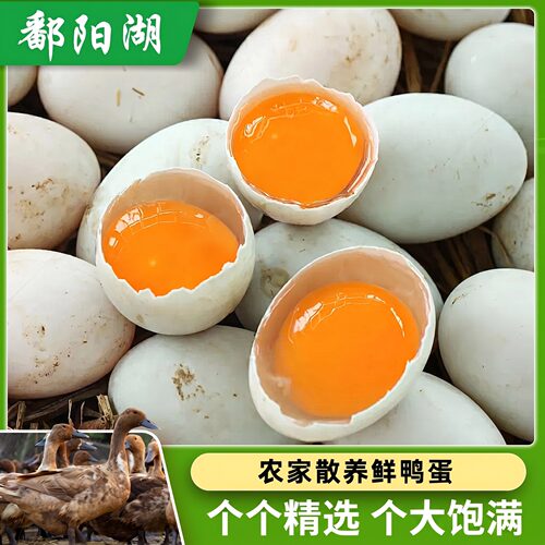 鲜生鸭蛋 正宗鄱阳湖散养鸭蛋 特大蛋 优选大个土鸭蛋麻鸭70-79g
