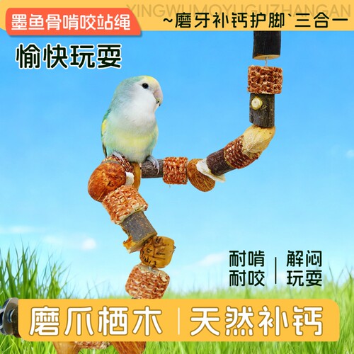 鹦鹉墨鱼骨站架海星干果站棍补钙啃咬玩具自由调节鸟笼装饰用品
