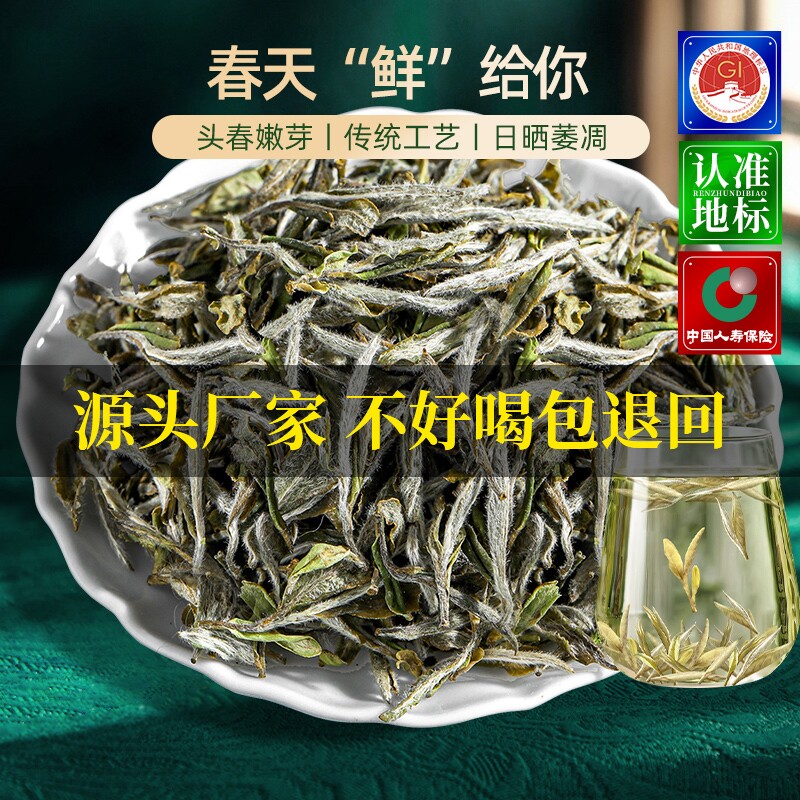 福鼎白茶2024头采头春特级白牡丹王高山新茶叶500g花香送礼散