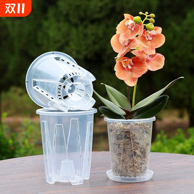 透明青山控根盆蝴蝶兰花盆兰花水苔专用塑料透气镂空大号家用