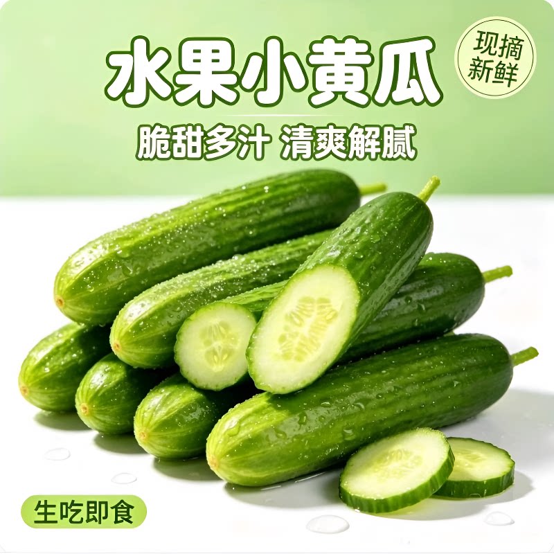 新鲜水果小黄瓜山东产地现摘小青瓜生吃即食脆甜孕妇果蔬整箱包邮