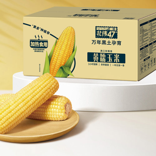 北纬47°黄糯白糯玉米新鲜甜东北糯玉米真空锁鲜粗粮六根十根装
