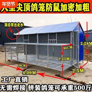 养鸽子专用笼子信鸽公棚放飞笼训放笼室外防雨便宜防家用大型