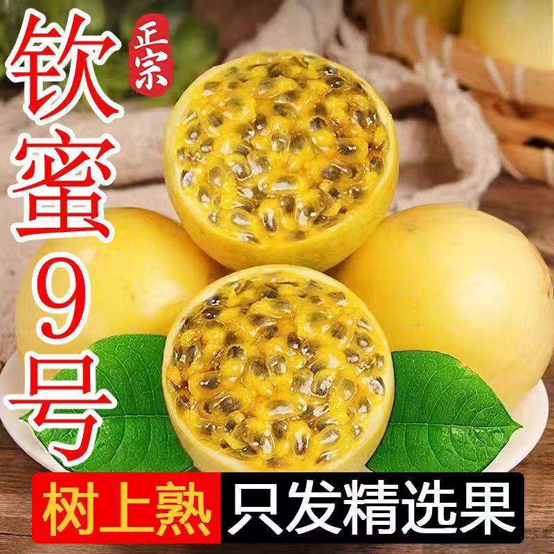 钦蜜9号黄金百香果新鲜水果现包邮大果应当季整箱黄皮白香黄金果