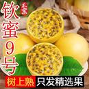 整箱黄皮白香黄金果 大果应当季 钦蜜9号黄金百香果新鲜水果现 包邮