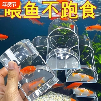 新款喂食器壁挂式喂食管小型投食管亚克力鱼食投喂器鸽食槽定点