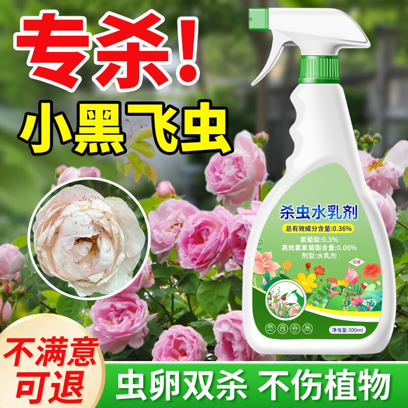 小黑飞杀虫剂小飞虫花卉除虫剂灭土壤植物专杀非室内家用草花
