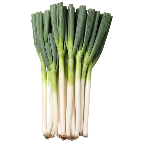 新鲜大葱正宗山东铁杆苯葱带皮去半叶葱花毛葱