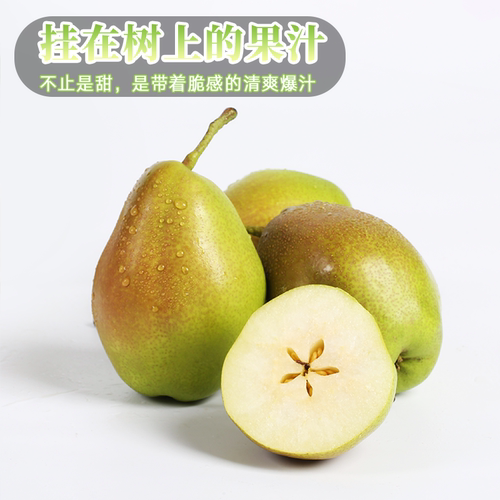 红香酥梨整箱产地直发脆爽多汁果香浓郁包邮应季新鲜水果香梨
