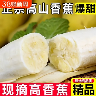 高山大香蕉当季新鲜水果青皮香蕉现摘香甜需催熟甜蕉甜