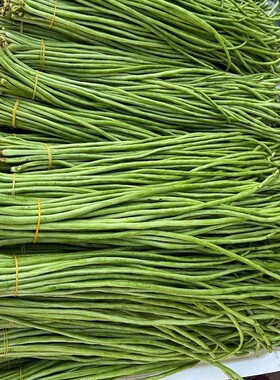 安徽当季现货新鲜长豆角农家蔬菜嫩豆角泡菜原料现摘青豆角四季豆