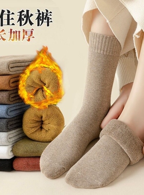 袜子秋冬季秋冬加绒加厚保暖毛绒冬天女士毛圈袜防寒加长中筒黑色