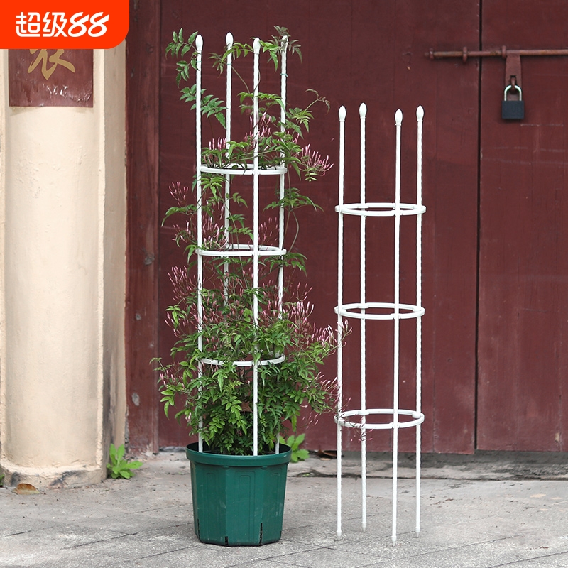阳台铁艺爬藤花架月季线莲