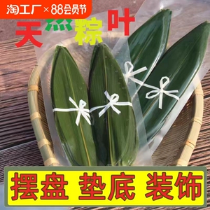寿司料理摆盘粽叶刺身小竹叶烤肉创意装饰垫底箬叶100片新鲜竹叶