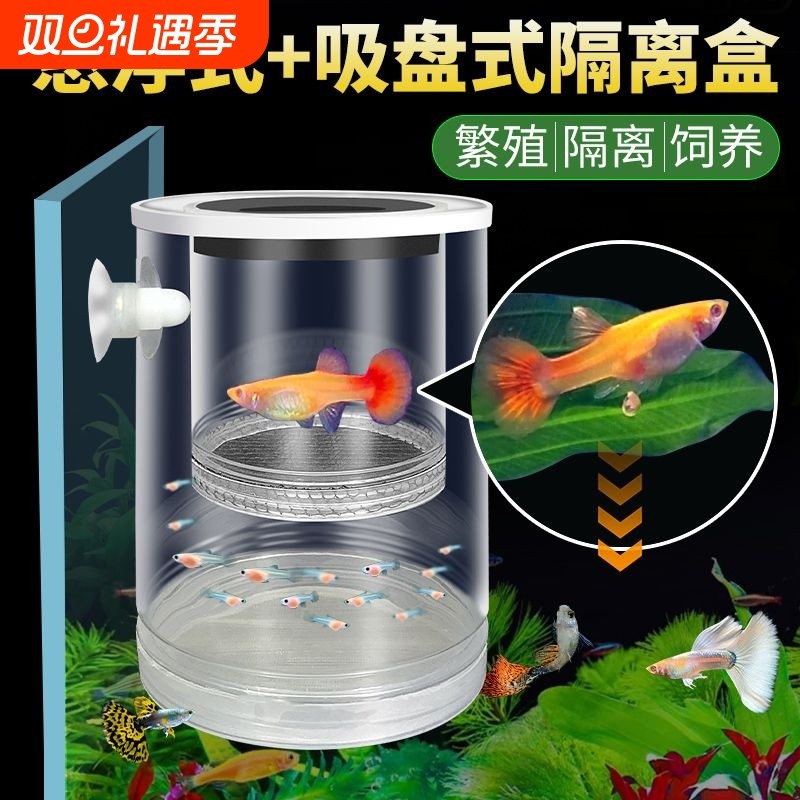 鱼缸悬浮式孔雀鱼繁殖隔离盒小鱼幼鱼苗凤尾母鱼产房漂浮孵化罐网