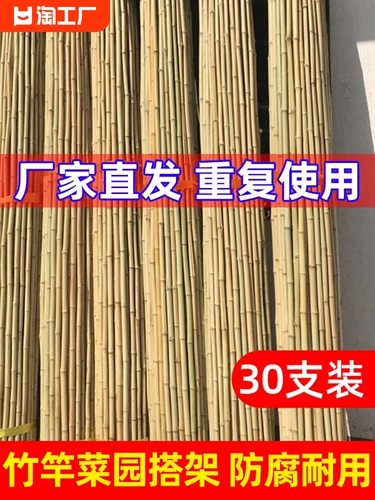 Бамбуковая полюсная шлюха на шельфе овощной овощ