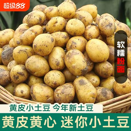 恩施小土豆新鲜现挖土豆