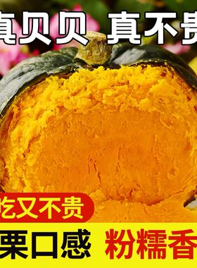贝贝南瓜正宗板栗味宝宝辅食甜糯新鲜蔬菜