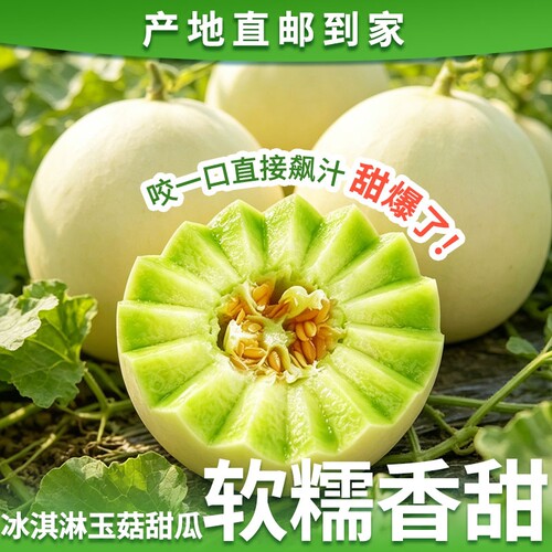 甜瓜玉菇新鲜水果整箱包邮应当季山东蜜瓜香瓜冰淇淋白瓜10斤现摘
