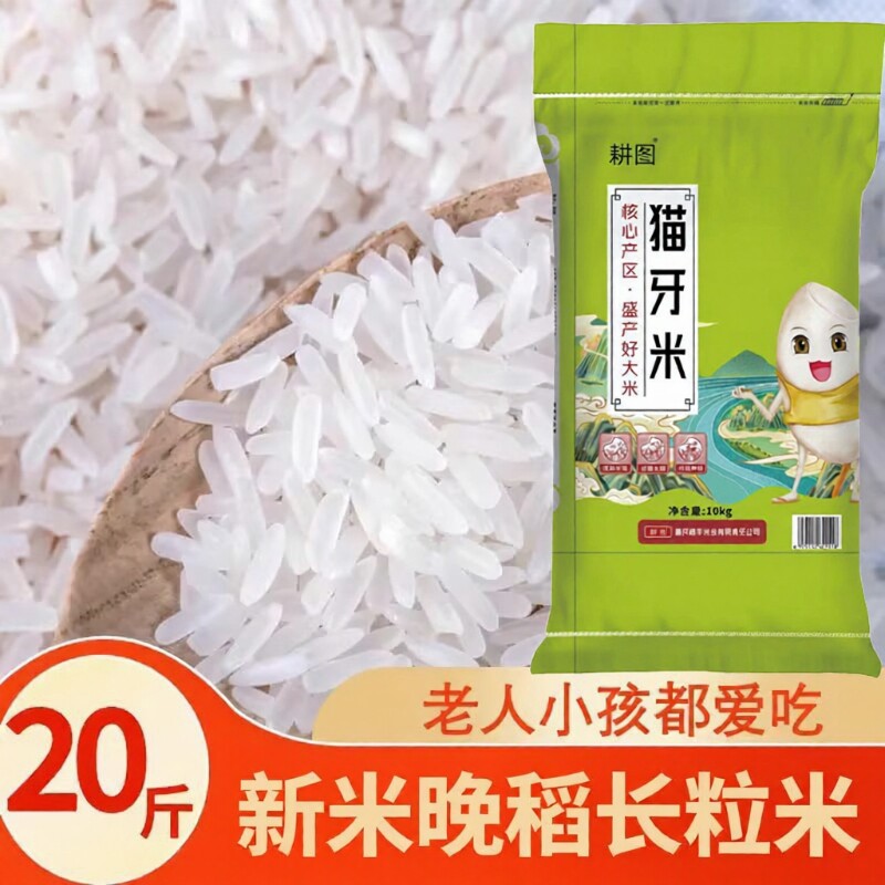 南方大米丝苗米10斤/20斤新米晚稻米猫牙香米长粒米饭袋装软糯