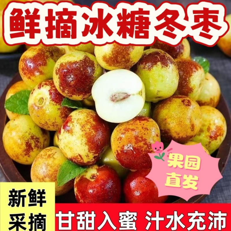 正宗冬枣脆甜新鲜大果应季整箱枣子现摘脆枣冰糖大枣5斤当季水果