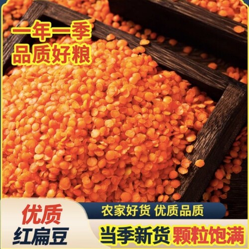 甘肃特产红小扁豆小扁红豆