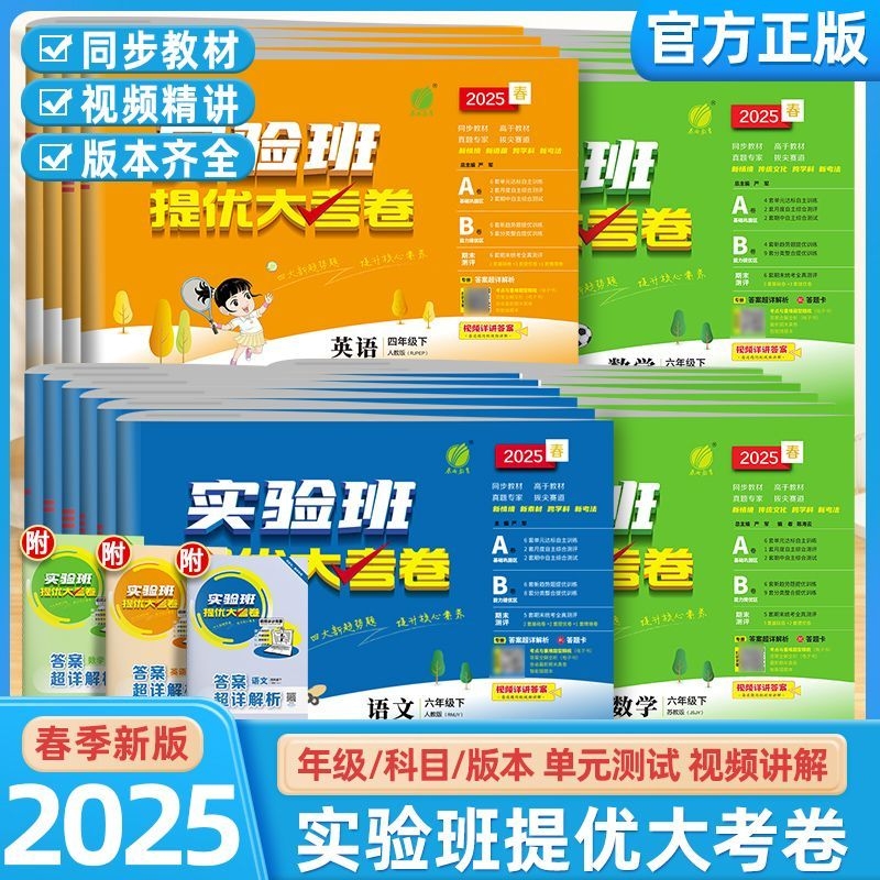 小学实验班提优大考卷