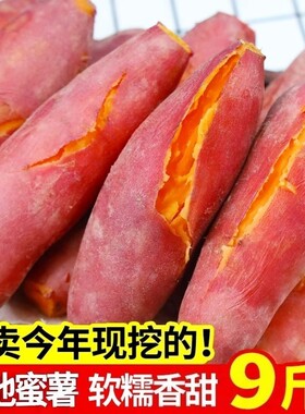 新鲜沙地蜜薯红薯番薯黄心香甜糖心地瓜山芋沙地软糯香甜现挖速发