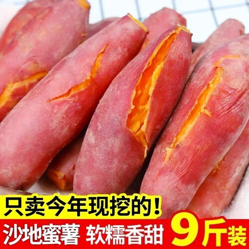 新鲜沙地蜜薯红薯番薯黄心香甜糖心地瓜山芋沙地软糯香甜现挖速发