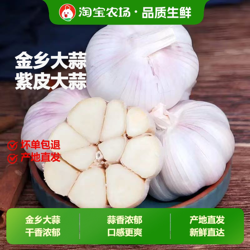正宗山东金乡紫皮大蒜大蒜头新干蒜批发实惠装可吃可种