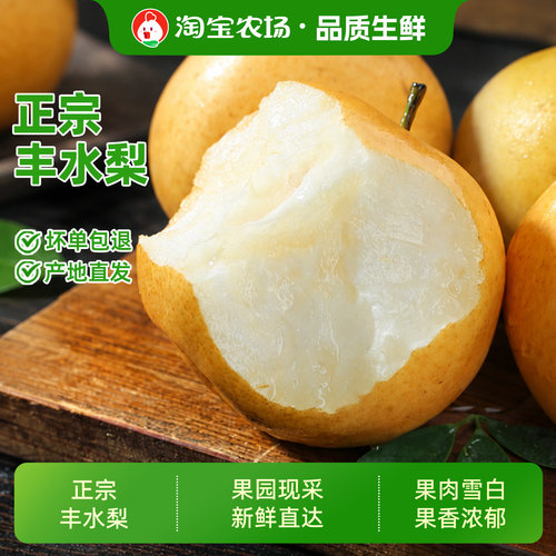 正宗山东丰水梨当季现摘脆甜汁甜送礼新鲜时令好水果农场鲜果直发
