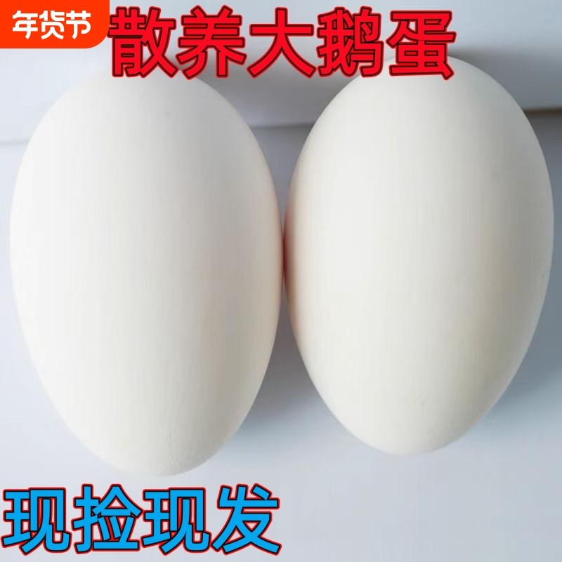 土鹅蛋农家新鲜正宗农家散养当天现捡大白鹅蛋孕妇营养,水产肉类/新鲜蔬果/熟食,鹅蛋,淘宝优惠券,粉丝福利购,淘宝优惠卷