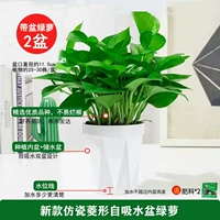 120#Новый имитационный фарфоровый бассейн Rhombus [2] Pot+2 Fat Green Orange