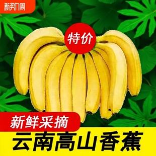 一级果云南高山甜香蕉水果当季 新鲜大芭蕉小米蕉甜蕉皇帝蕉甜自提
