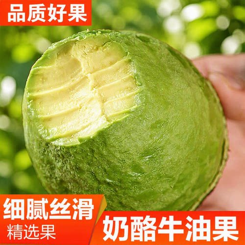哈斯奶油牛油果新鲜水果当季整箱包邮一级鳄梨进口秘鲁生鲜低糖