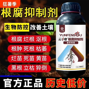 【正品】云丰收根腐抑制剂根腐克星猝倒黄叶烂根死棵生根活化土壤
