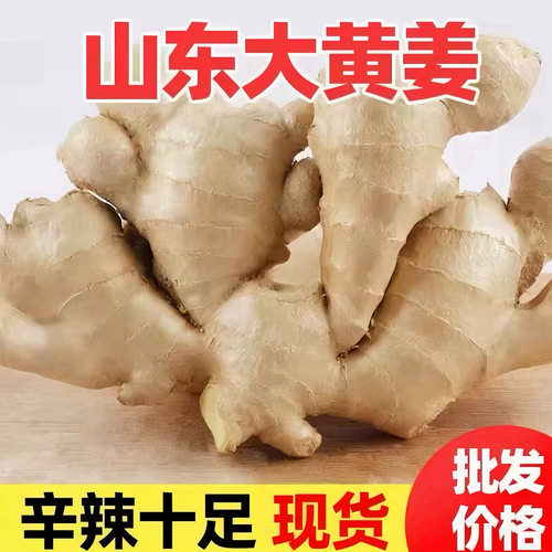 山东大黄姜新鲜生姜老姜沙姜月子姜农家当季蔬菜直发自提食用农场