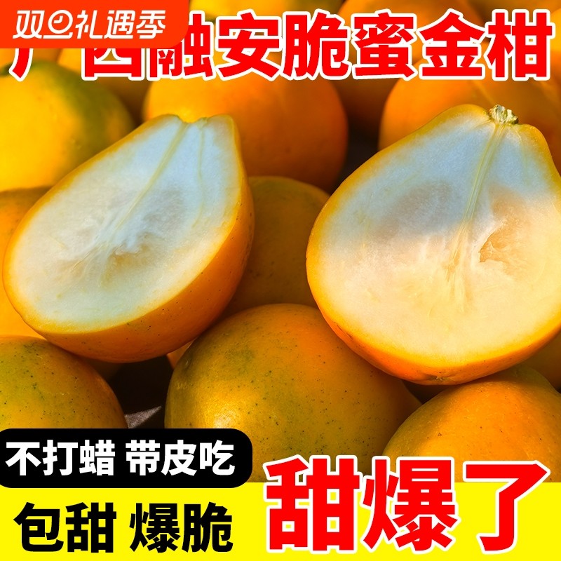 【精品果】正宗脆蜜金柑第三代纯甜融安金桔现摘现发新鲜水果顺丰