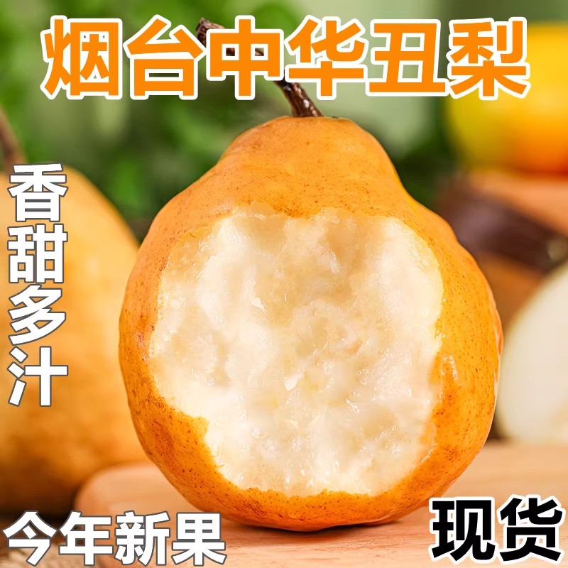 山东烟台中华丑梨新鲜奇葩水果非啤梨软糯多汁
