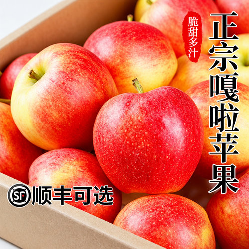 正宗嘎啦苹果新鲜水果当季整箱包邮现摘红富士脆甜丑苹果直发保存