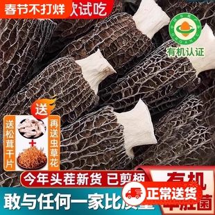 野生菌羊肚菌干货一斤云南纯菇蘑干儿童正品官方旗舰店礼盒牛肚菌