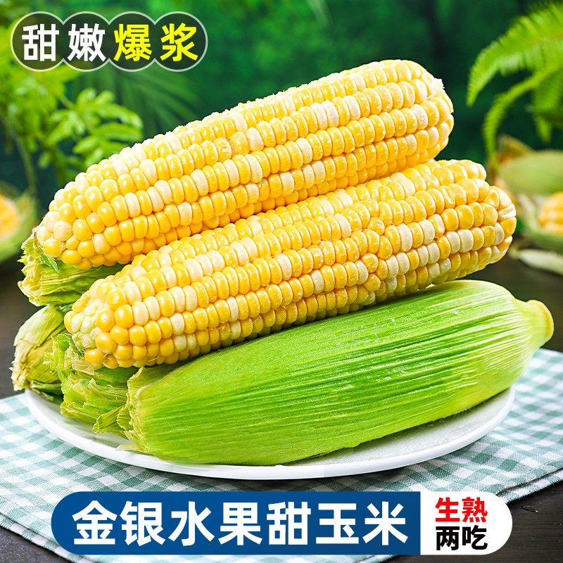 现摘云南金银双色水果玉米新鲜甜玉米嫩玉米新鲜玉米棒9斤包邮D5 - 封面