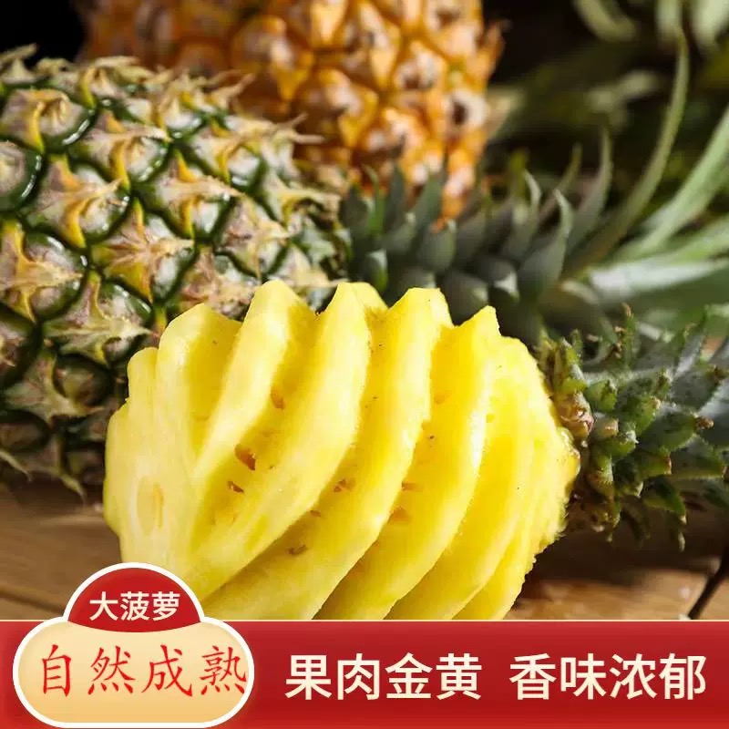 菠萝徐闻香水菠萝新品香甜应季新鲜水果树熟现摘特大果不是凤梨