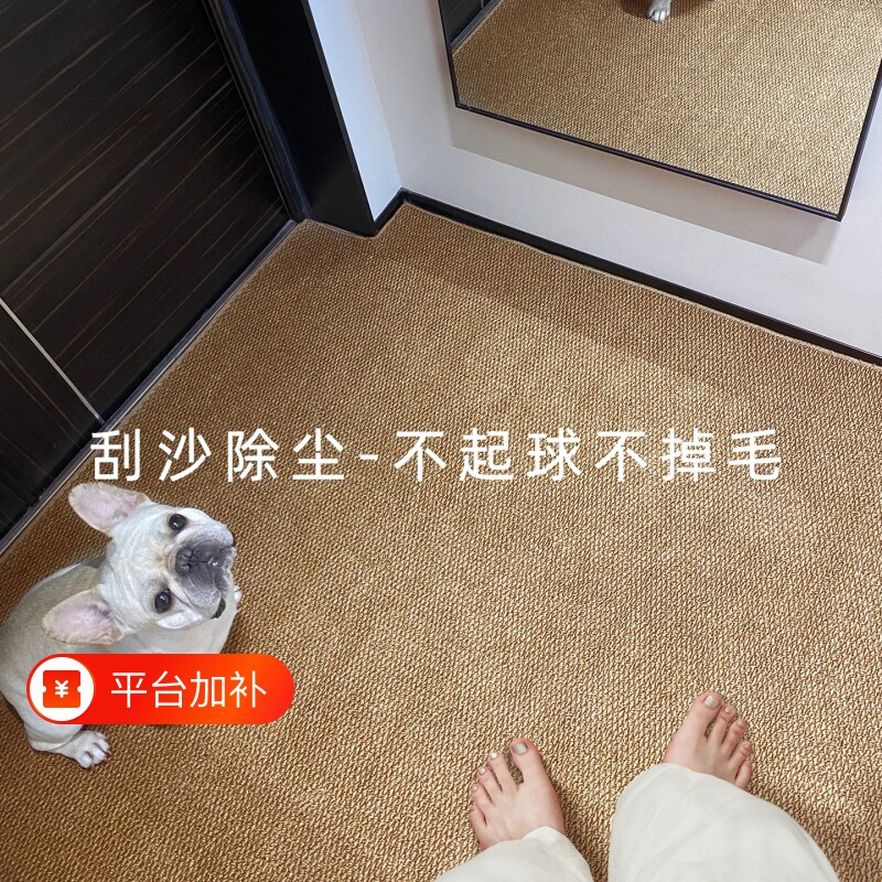 入户门地垫仿剑麻地毯门垫进门大门口入户玄关门外家用脚垫可机洗