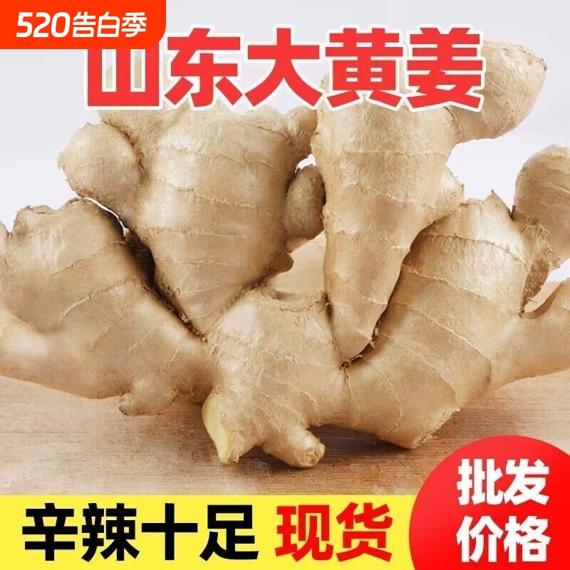山东大姜生姜老姜优质月子姜风干姜鲜姜新鲜老黄姜包邮大黄姜食用