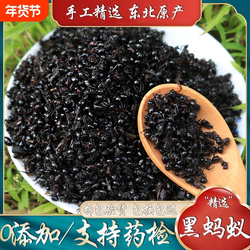 黑蚂蚁中药材大黑蚂蚁干散装食用野生干货泡酒黑蚂蚁另售红蚂蚁干