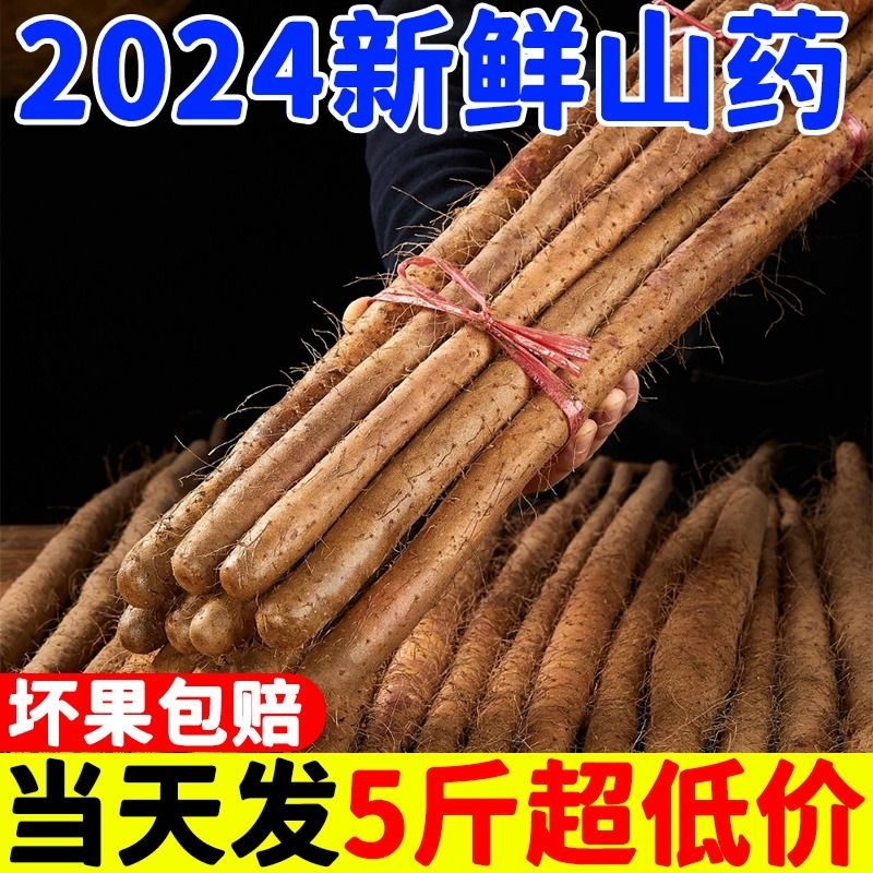 2024新货正宗河南垆土铁棍山药新鲜蔬菜小白嘴怀淮山药批发5现挖 水产肉类/新鲜蔬果/熟食 新鲜山药 原图主图