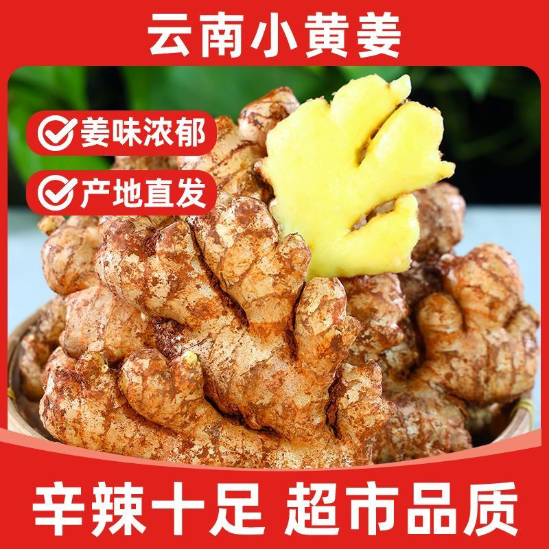 农家新鲜现挖优质正宗云南高山小黄姜生姜干老姜嫩姜月子土姜