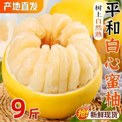 正宗福建平和新鲜白心柚子9斤产地直供沙田梅州蜜柚葡萄柚文旦柚